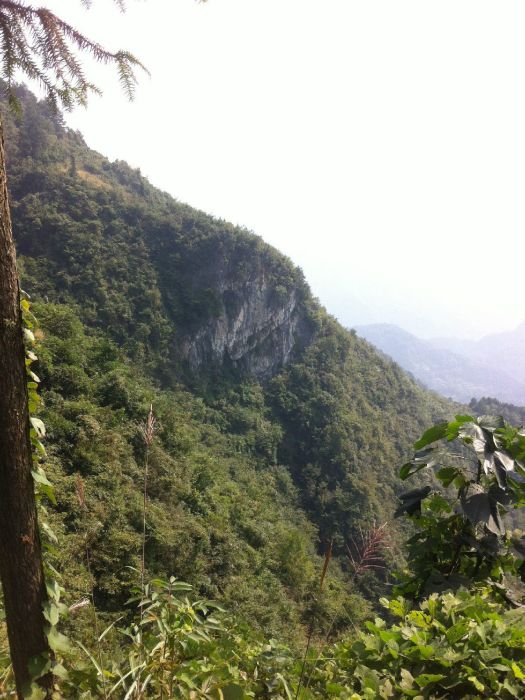 平頭界村 平頭界村