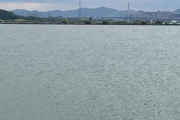 下圍村(廣東省塘坦村(洲心)塘料圍村) 下圍村(廣東省塘坦村(洲心)塘料圍村)