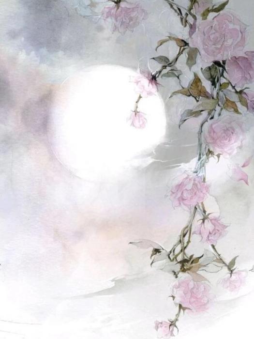 月色年華 月色年華