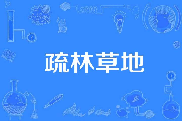 疏林草地 疏林草地