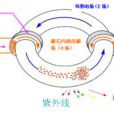 LVD無極燈(低頻無極燈) LVD無極燈(低頻無極燈)