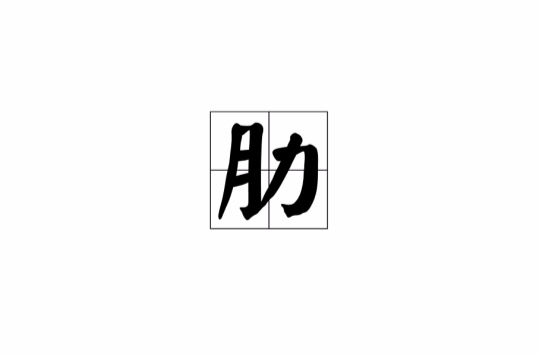肋(漢字)