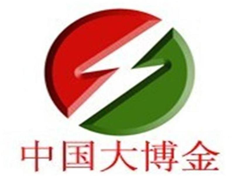 中國大博金太陽能光電有限公司