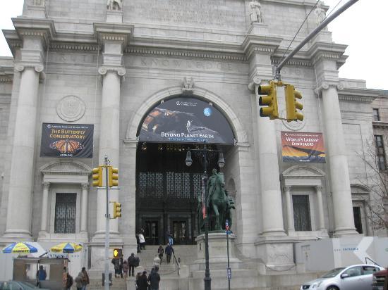 紐約自然歷史博物館