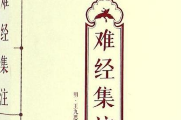 難經集注(2011年中國醫藥科技出版的圖書) 難經集注(2011年中國醫藥科技出版的圖書)