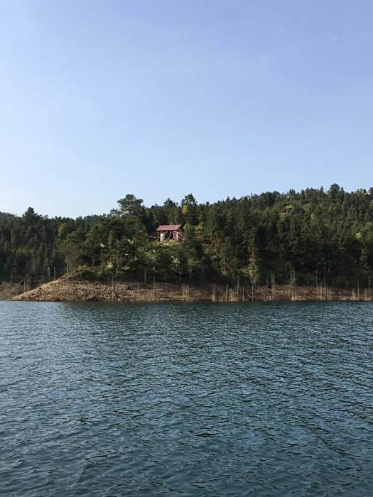 醫王仙寺 醫王仙寺
