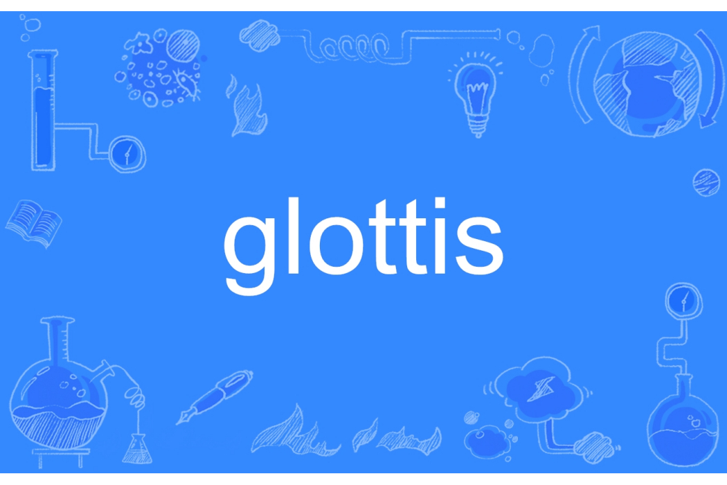 glottis glottis