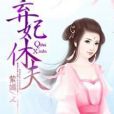 棄妃休夫(紫嫣著網路小說) 棄妃休夫(紫嫣著網路小說)