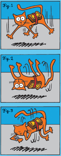 一幅解釋黃油貓悖論的漫畫