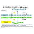 A2 β-酪蛋白
