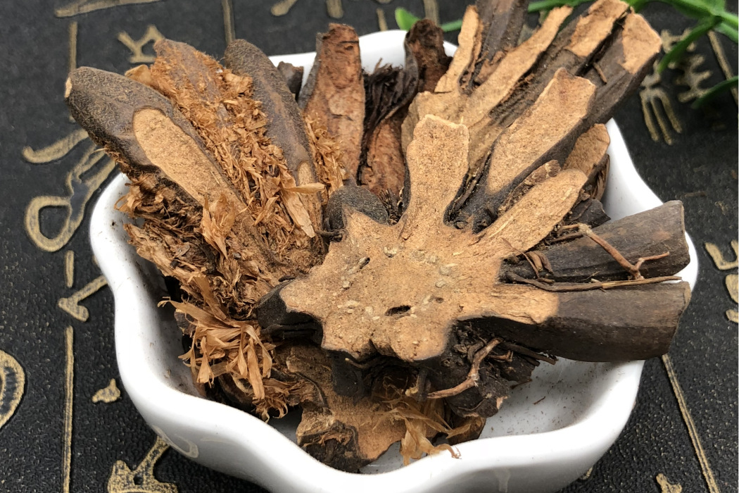 黑狗脊 黑狗脊