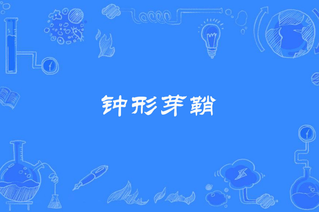 鐘形芽鞘 鐘形芽鞘