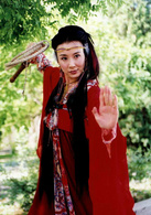 俠骨丹心(2006年鞠覺亮執導電視劇)
