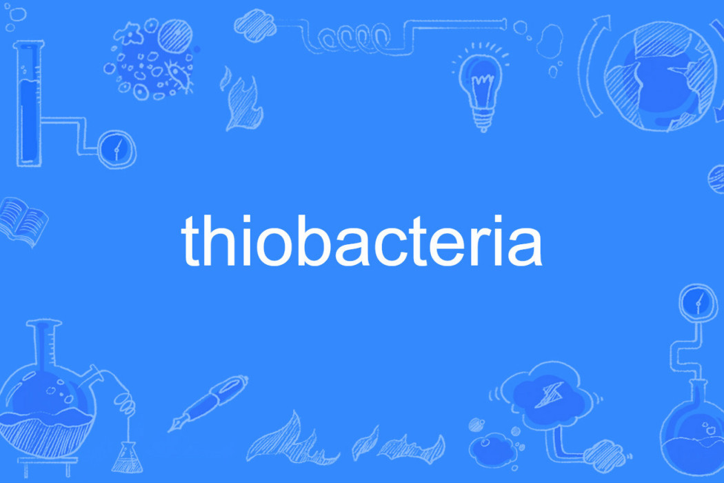 thiobacteria thiobacteria