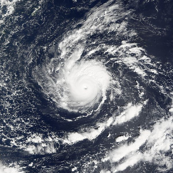 強颱風鴻雁 衛星雲圖