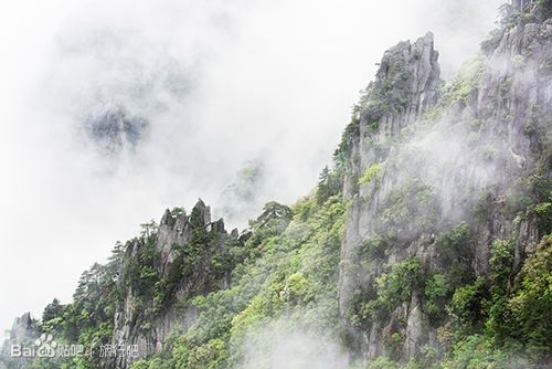 羊獅慕