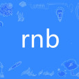 rnb(網路流行詞) rnb(網路流行詞)