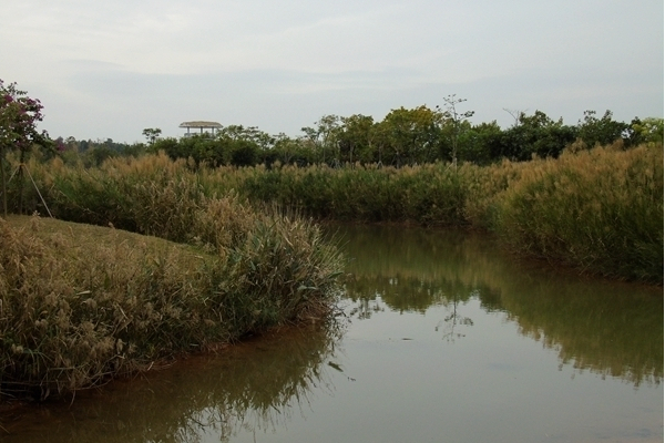 米鋪湖 米鋪湖