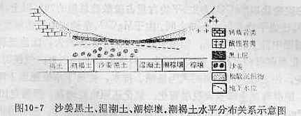 水平分布關係示意圖