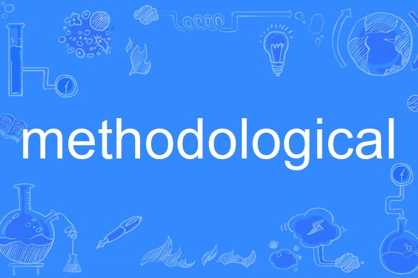 methodological methodological