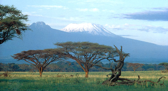 坦尚尼亞吉力馬札羅山全貌