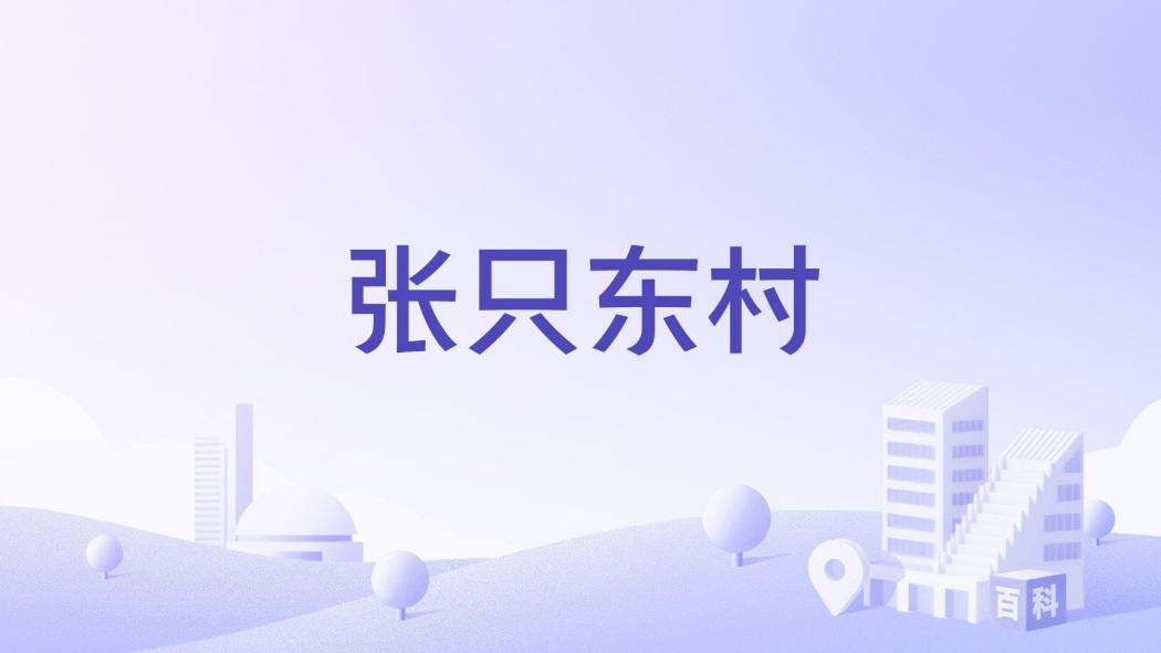 張只東村 張只東村