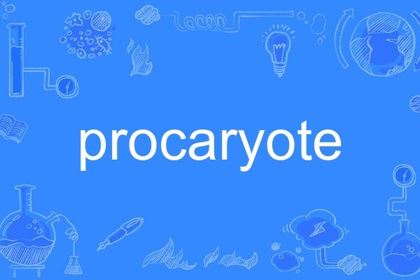 procaryote procaryote