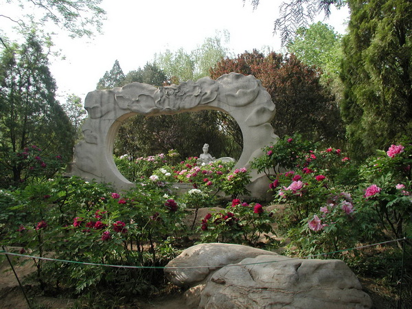 牡丹園(北京植物園園區)