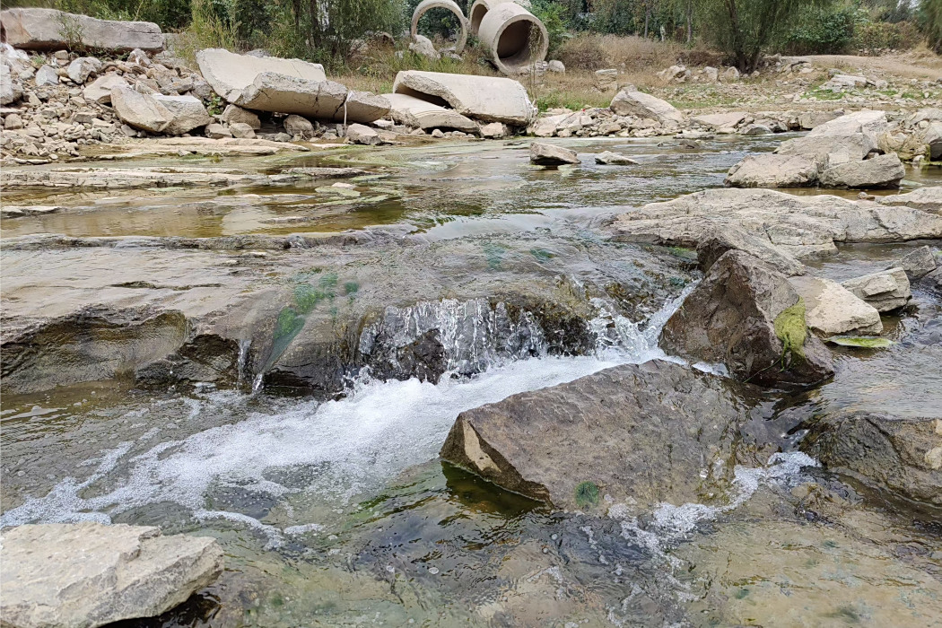 青石村(山東省棗莊市山亭區馮卯鎮下轄行政村) 青石村(山東省棗莊市山亭區馮卯鎮下轄行政村)