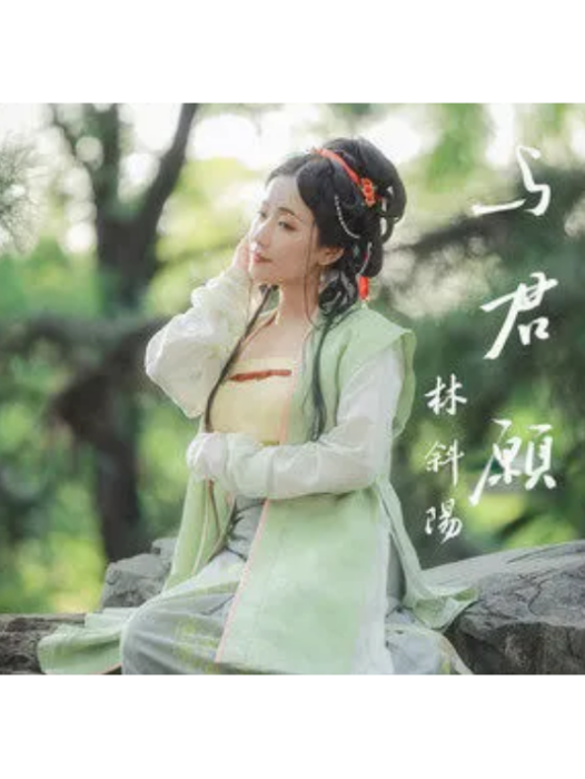 與君願(林斜陽演唱的歌曲) 與君願(林斜陽演唱的歌曲)