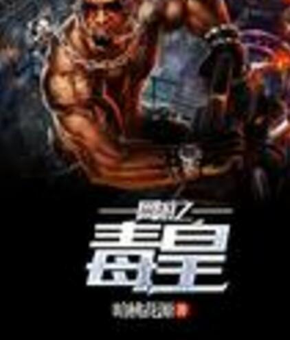 網遊之毒皇 網遊之毒皇