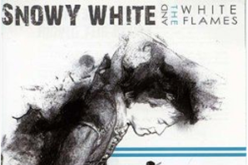Team Spirit(Snowy White演唱的歌曲) Team Spirit(Snowy White演唱的歌曲)