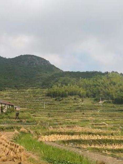 後坑村(江西省資溪縣石峽鄉下轄行政村)