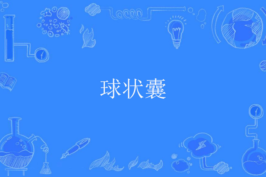 球狀囊 球狀囊