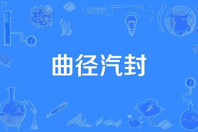 曲徑汽封 曲徑汽封