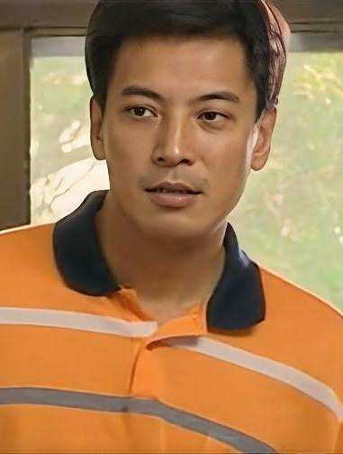 家風(2005年王慶祥主演的電視劇)