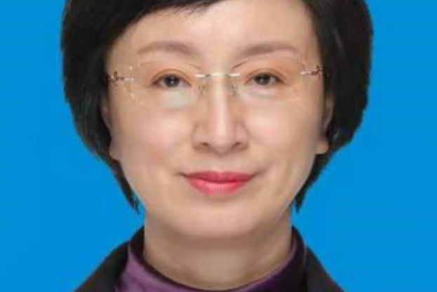 顧林(湖北省十堰市委常委、副市長) 顧林(湖北省十堰市委常委、副市長)