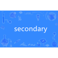 secondary secondary