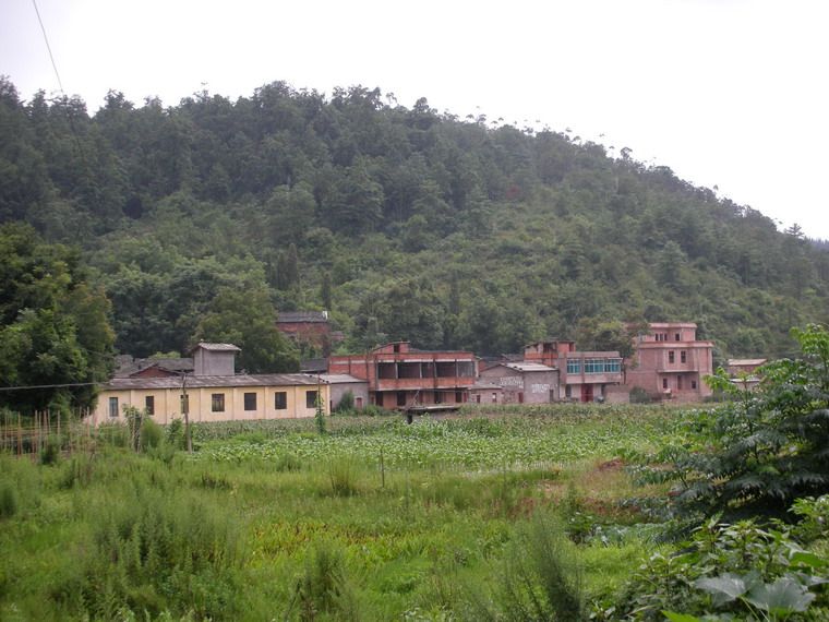 小米沖村(雲南玉溪市四街鎮下轄村) 小米沖村(雲南玉溪市四街鎮下轄村)