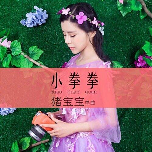 小拳拳 小拳拳