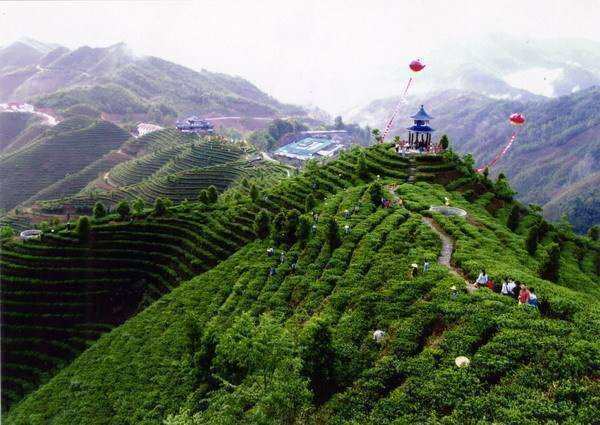 固伏村 固伏村