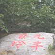 元豐核桃 元豐核桃