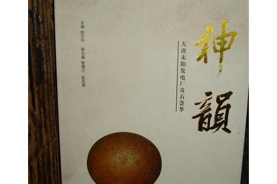 神韻(2007年海南出版社出版的圖書) 神韻(2007年海南出版社出版的圖書)