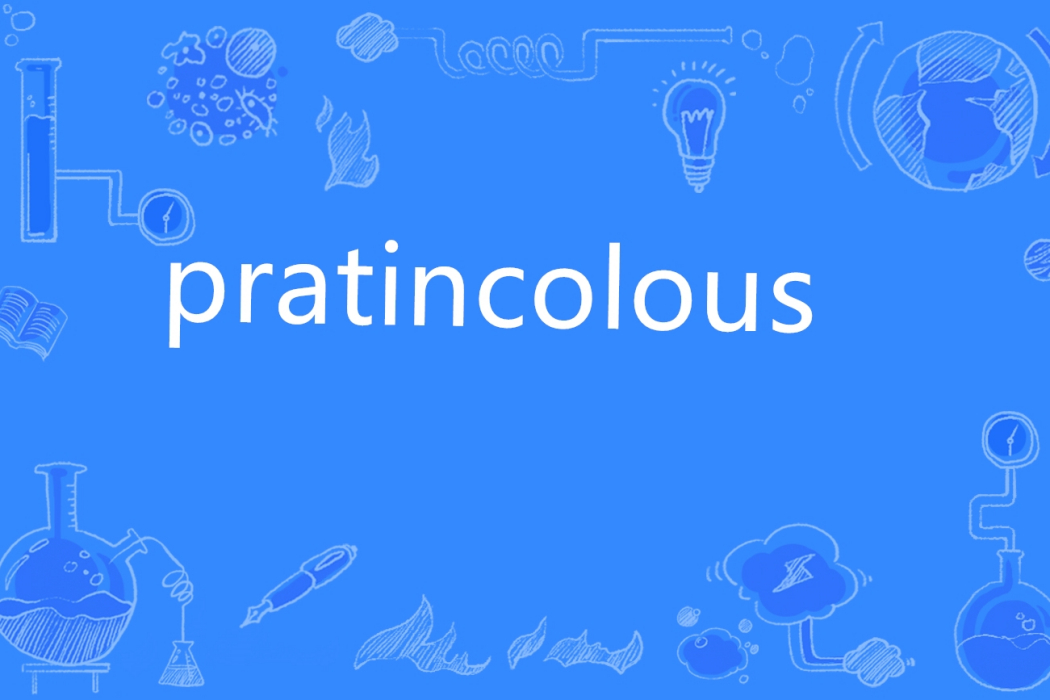 pratincolous pratincolous