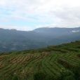 茶廠村(雲南省臨滄市滄源縣班洪鄉茶廠自然村) 茶廠村(雲南省臨滄市滄源縣班洪鄉茶廠自然村)