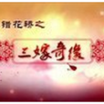 嫁錯金龜婿 嫁錯金龜婿