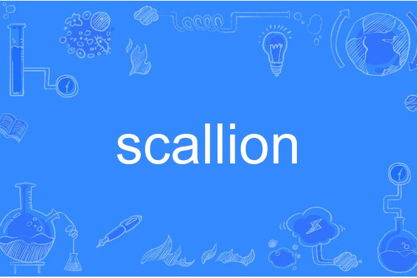 scallion scallion