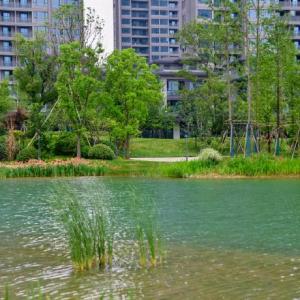 未來湖公園 未來湖公園
