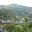 田山村(浙江省紹興市上虞市嶺南鄉下轄村) 田山村(浙江省紹興市上虞市嶺南鄉下轄村)