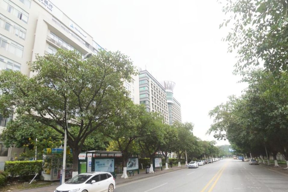 彩頻路 彩頻路